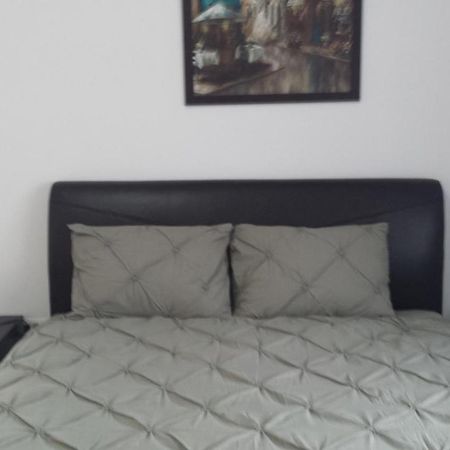 Apartament Mario Rădăuţi エクステリア 写真